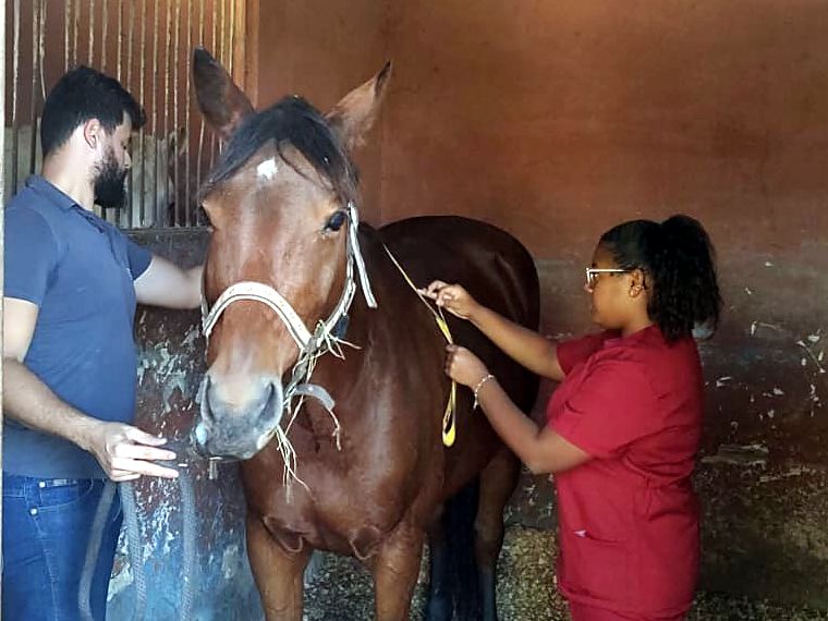 Instrutor segura pelo cabresto um cavalo castanho na baia enquanto uma participante de uniforme vermelho mede o animal com fita de pesagem
