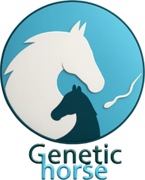 Genetic Horse